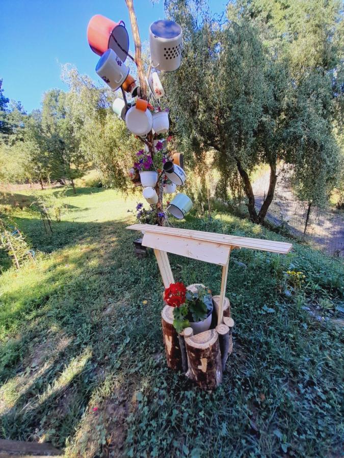 Casa De La Ferma Mariuca Βίλα Berbesti Εξωτερικό φωτογραφία