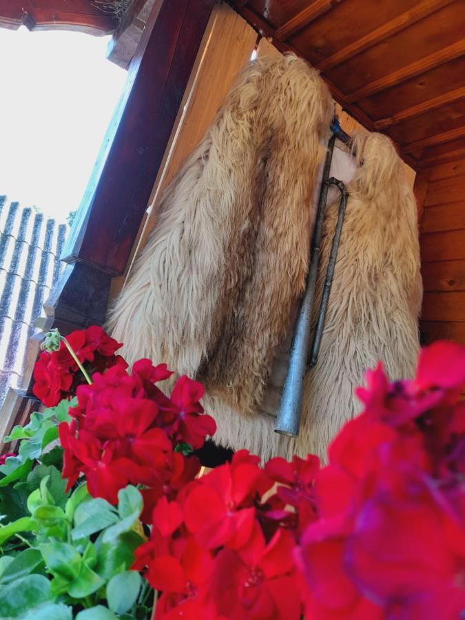 Casa De La Ferma Mariuca Βίλα Berbesti Εξωτερικό φωτογραφία