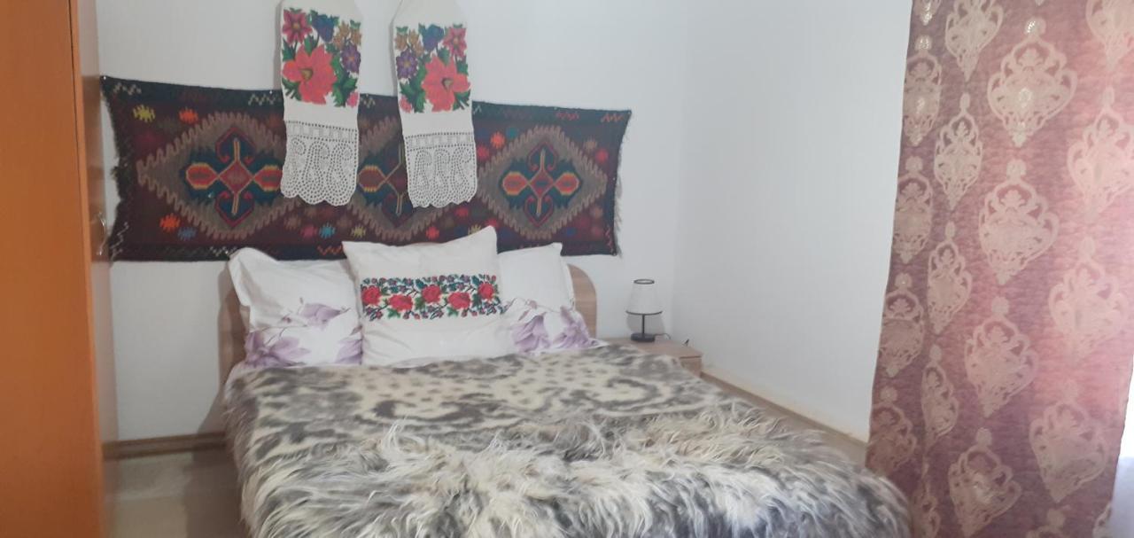 Casa De La Ferma Mariuca Βίλα Berbesti Εξωτερικό φωτογραφία