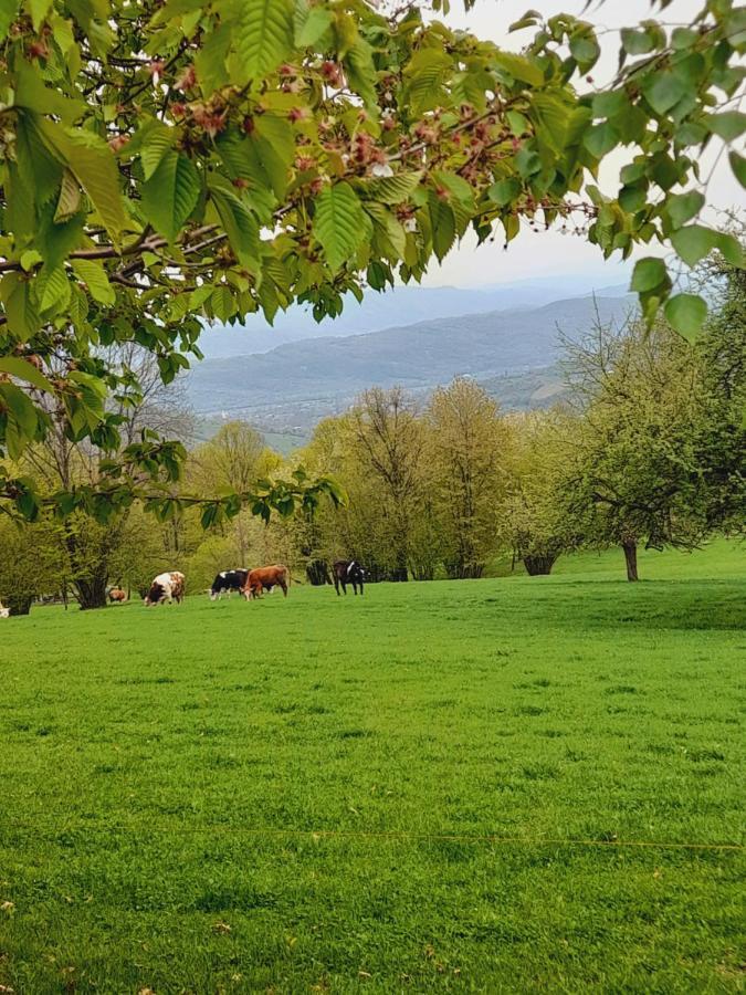 Casa De La Ferma Mariuca Βίλα Berbesti Εξωτερικό φωτογραφία